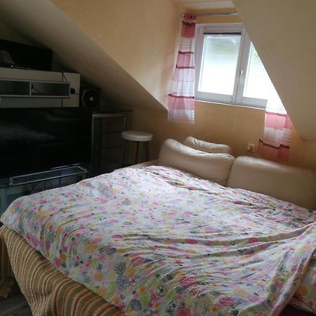 Wohlfuhloase - Zimmer, Appartment - Im Herzen Starnbergs חדר תמונה